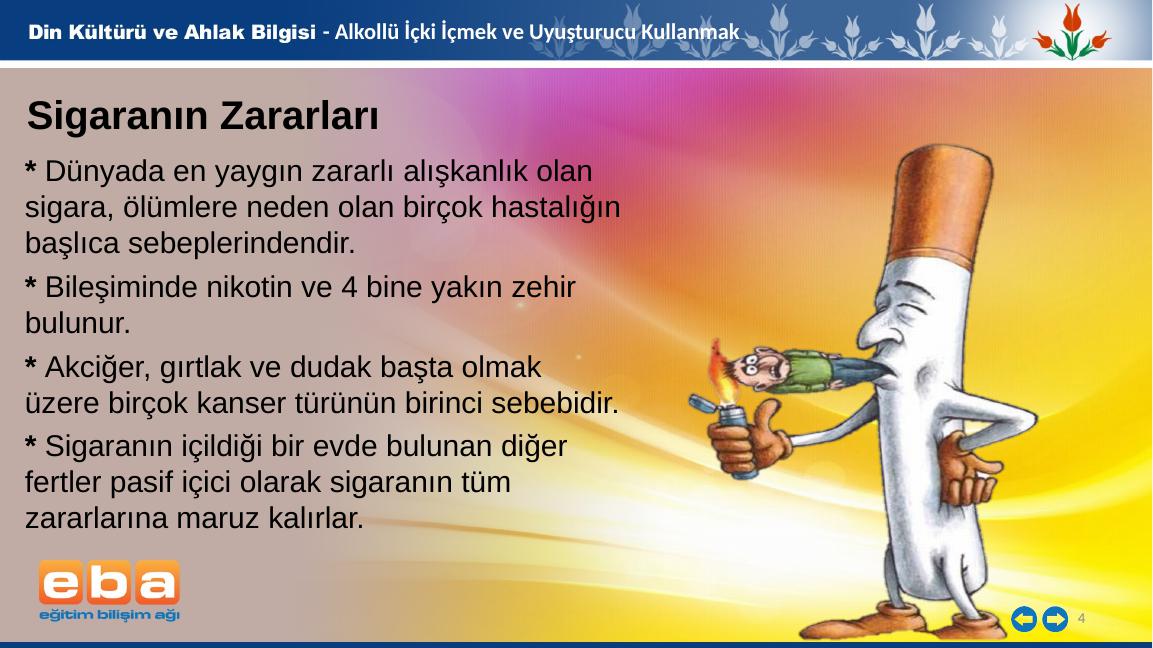 akademik-sunum
