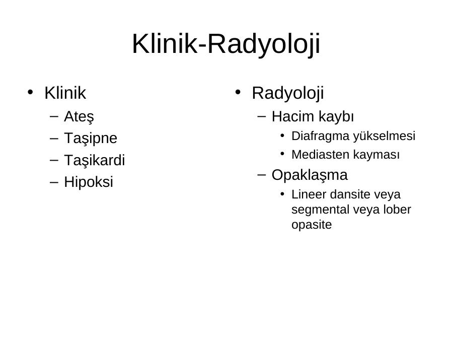 Akademik Sunum