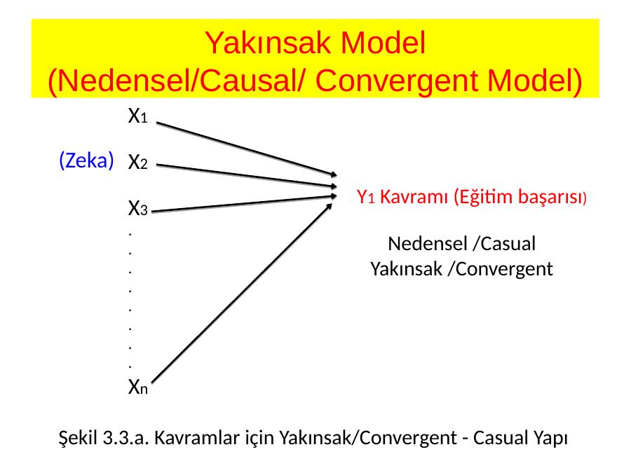 Akademik Sunum