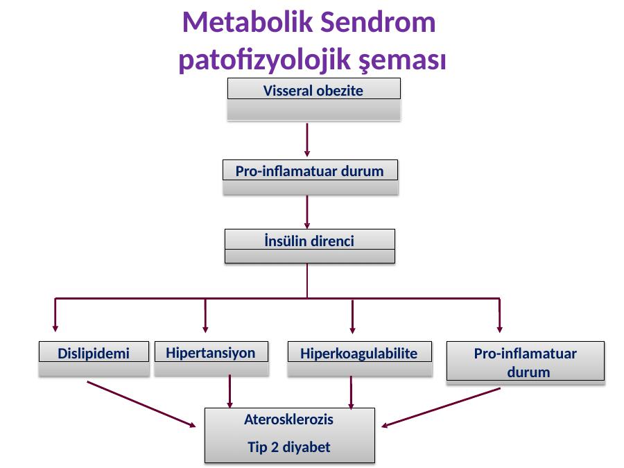 metabolik sendrom ve hipertansiyon)