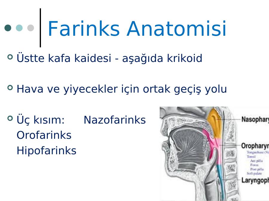 akademik-sunum
