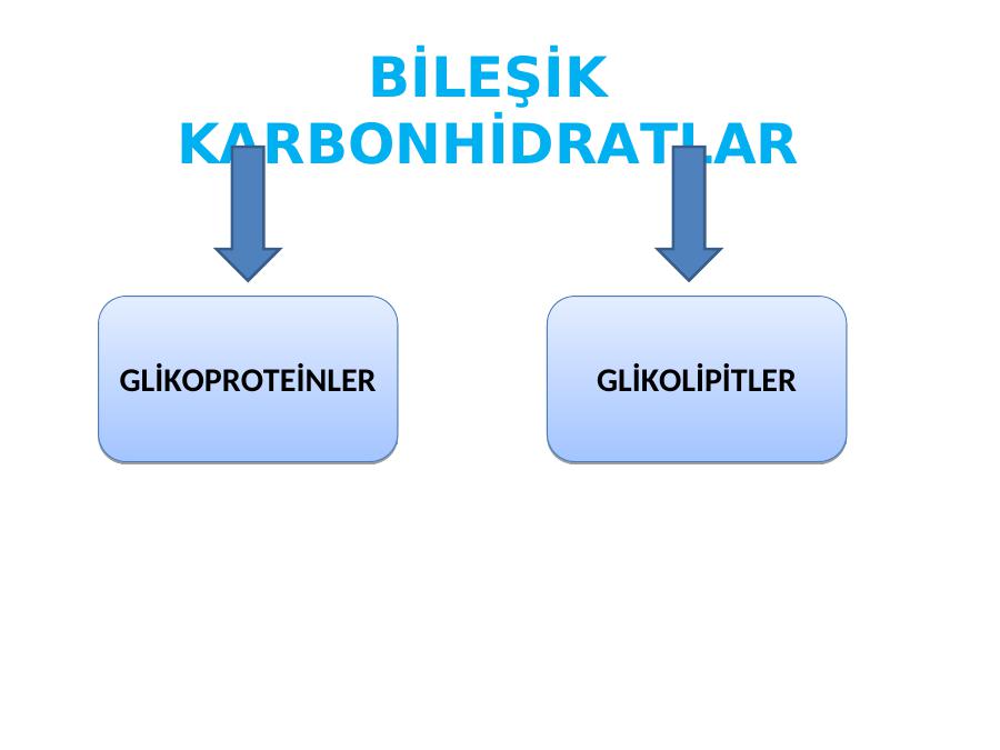 Akademik Sunum