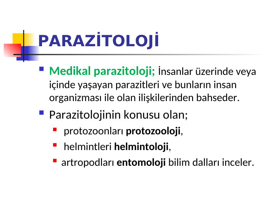 Akademik Sunum