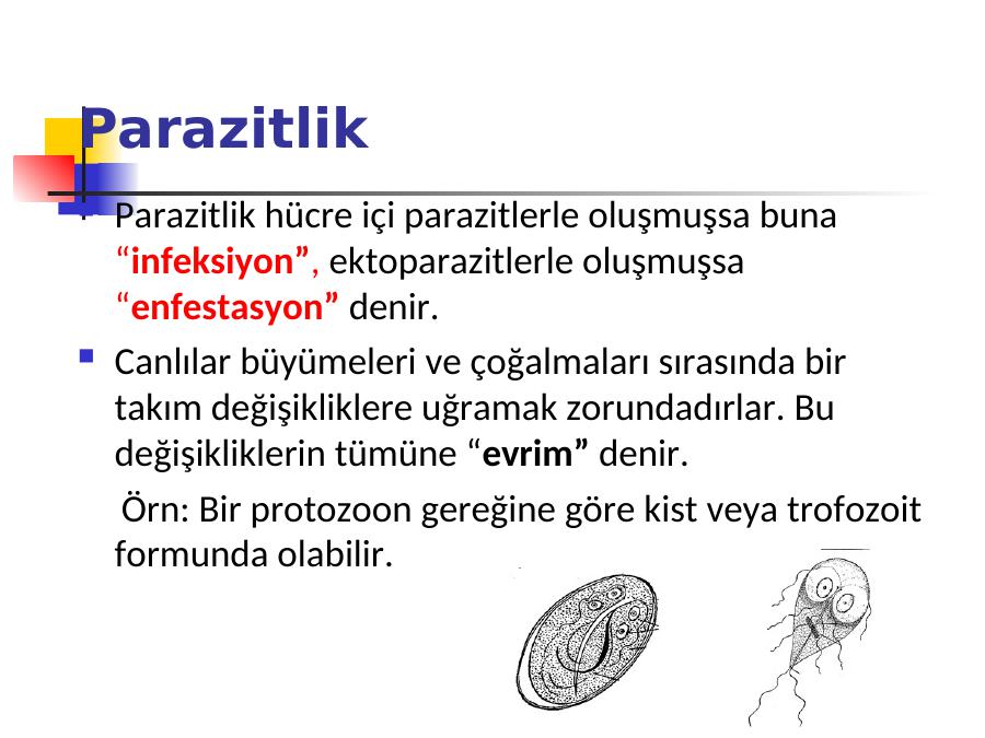 Akademik Sunum