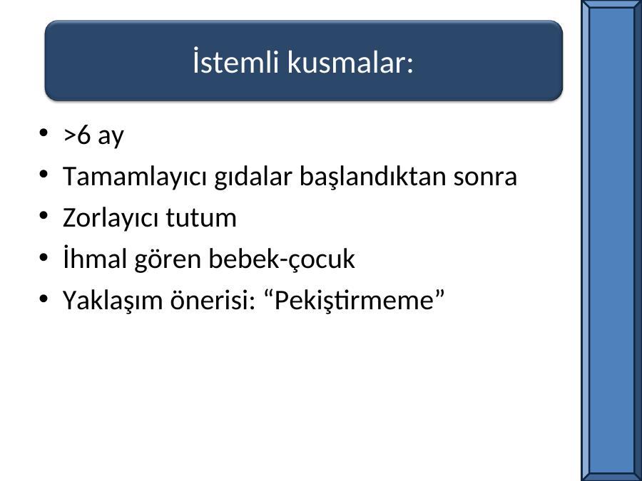 Akademik Sunum