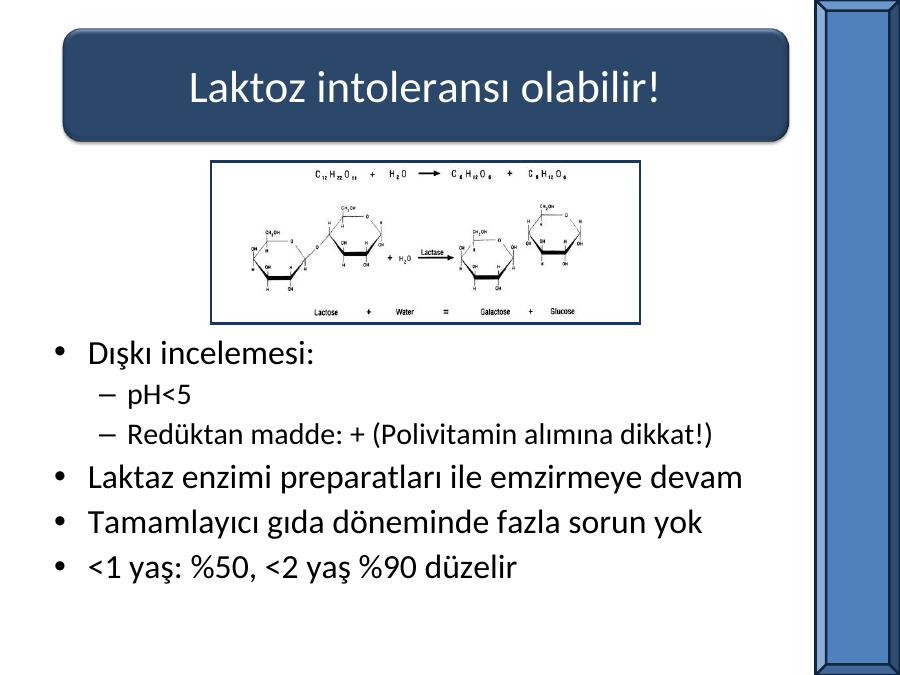 Akademik Sunum