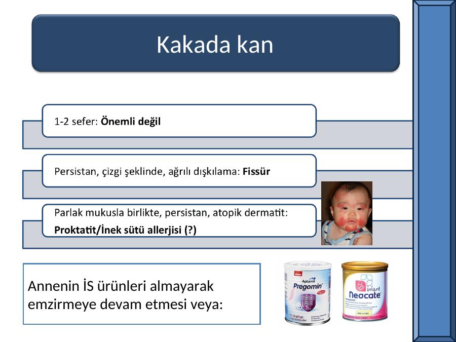 Akademik Sunum