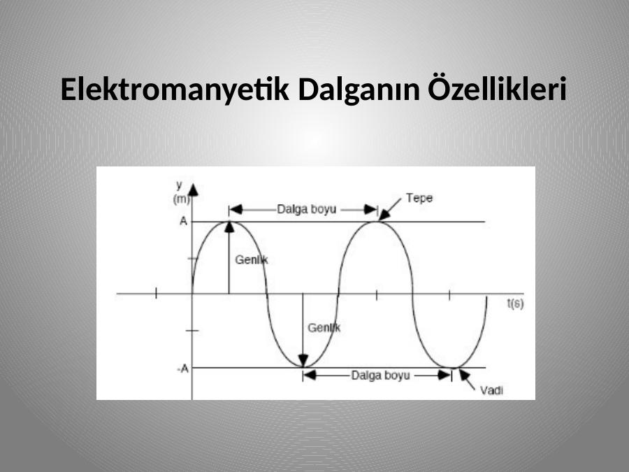 Akademik Sunum