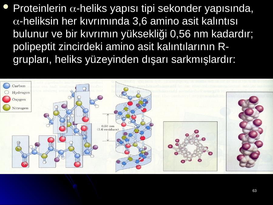 Pepti Dler Akademik Sunum