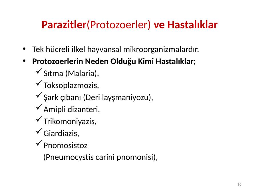 Akademik Sunum