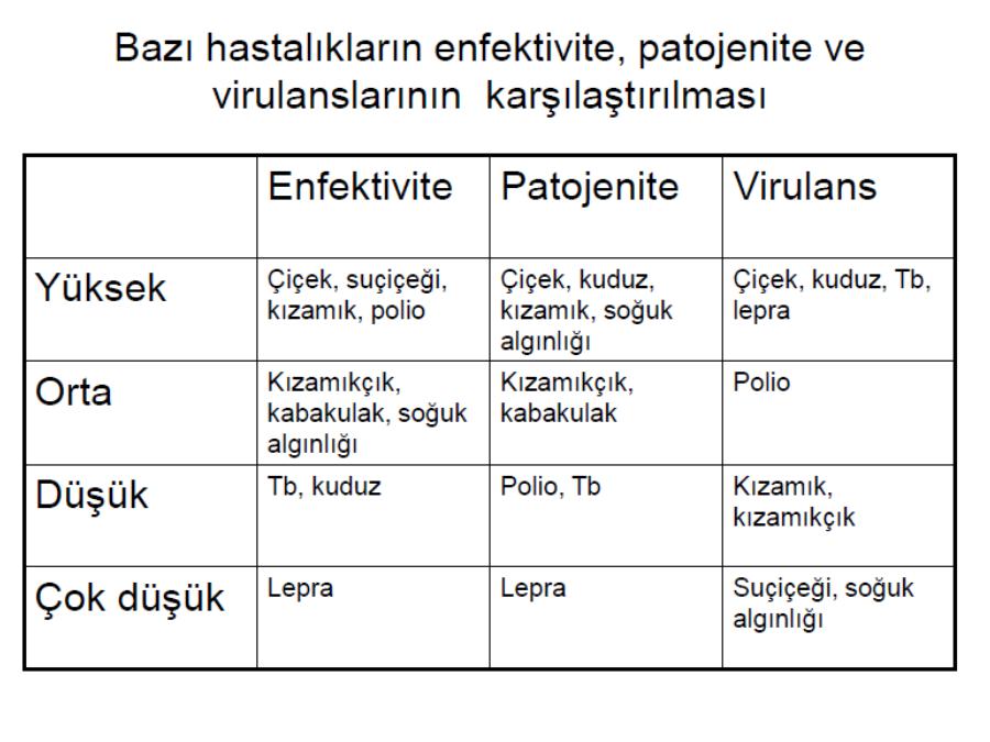 Akademik Sunum