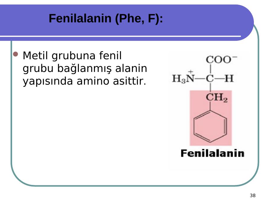 fenil grubu