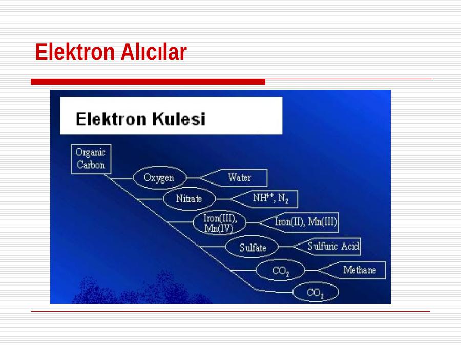 Akademik Sunum