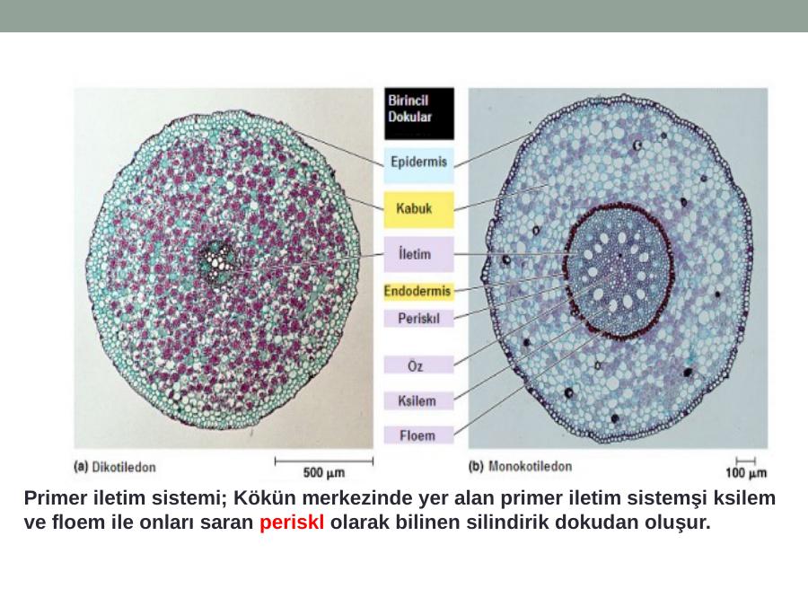 Akademik Sunum