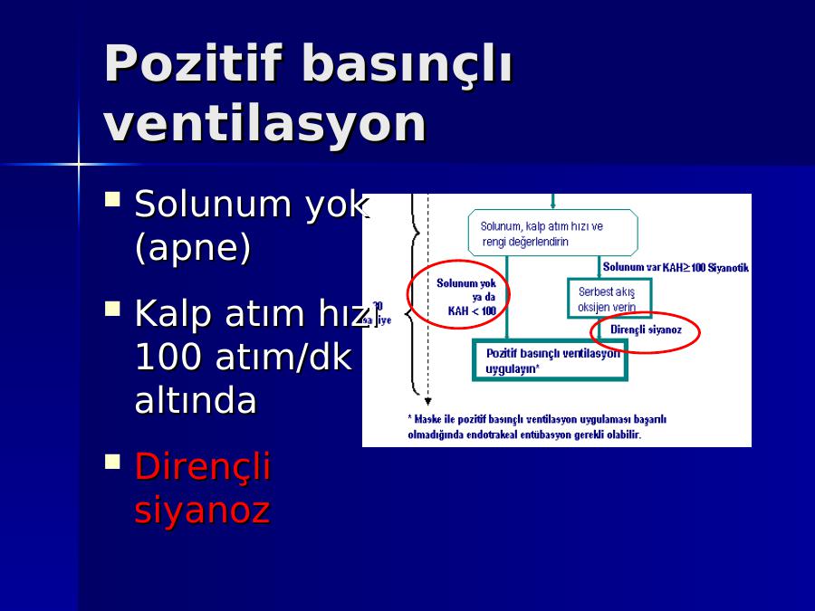 Akademik Sunum