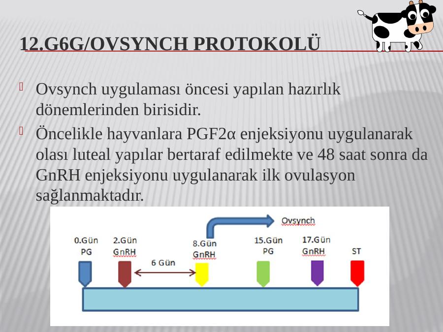 Двойной овсинх коров схема синхронизации