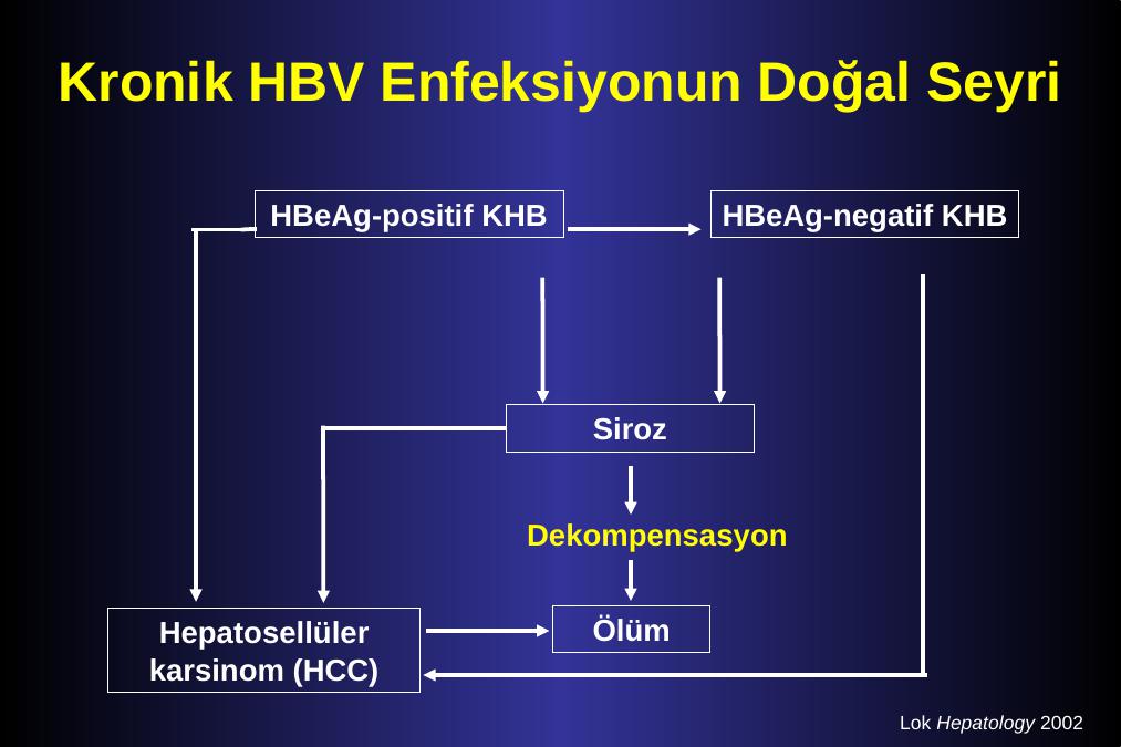 Akademik Sunum