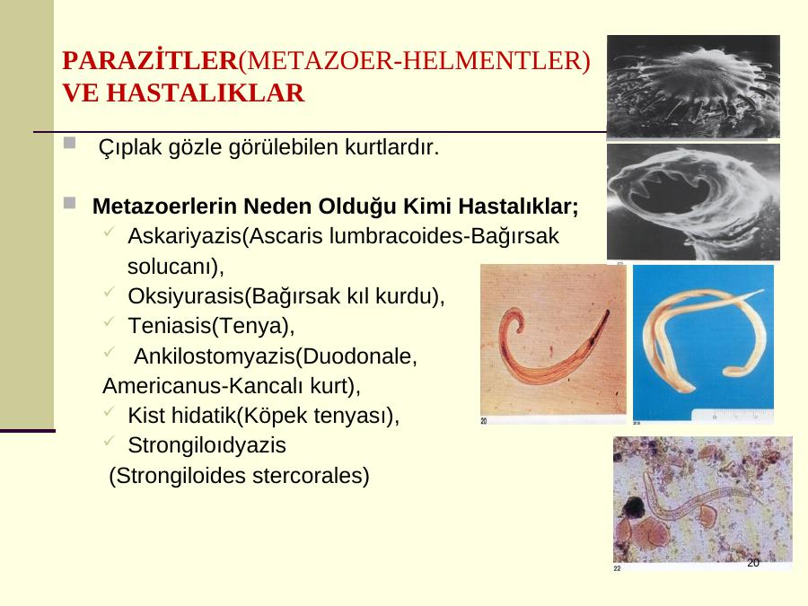 Akademik Sunum