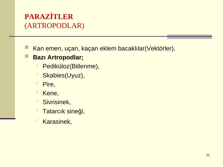 Akademik Sunum