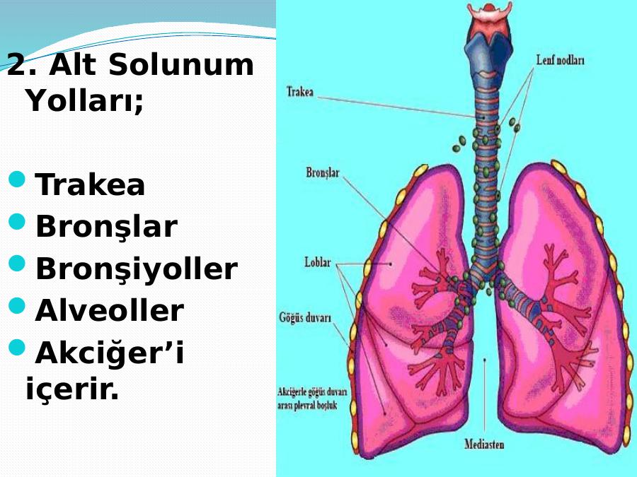 Akademik Sunum