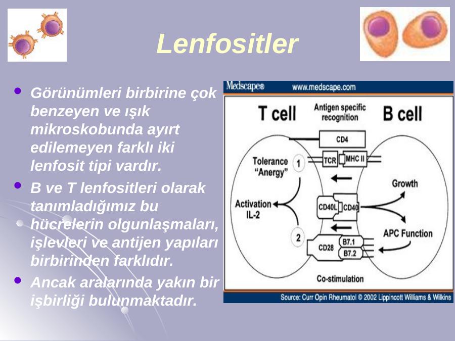 Akademik Sunum