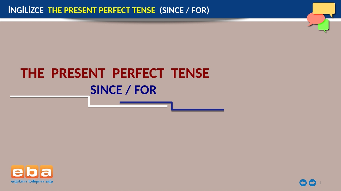 Present Perfect Tense Sinc