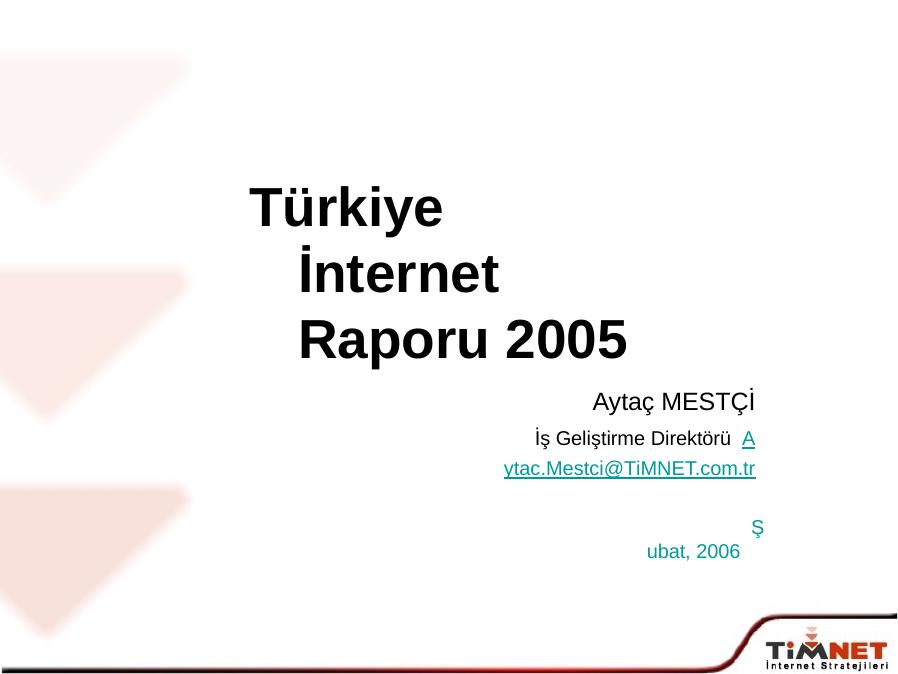 Türkiye	İnternet  Raporu 2005