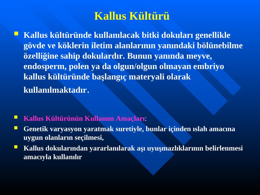 Kallus Kültürü