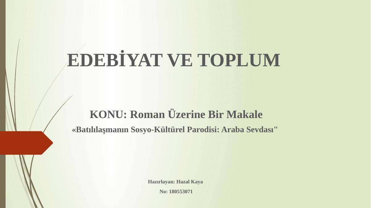 Edebiyat Ve Toplum Roman Üzerine Makale İnceleme Ödevi